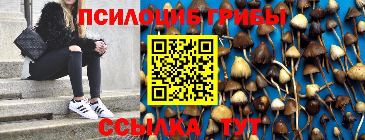 Галлюциногенные грибы Psilocybe  наркота  Кушва  Вход с VPN 